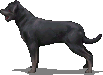 pretenders:dog_of_the_underworld.png