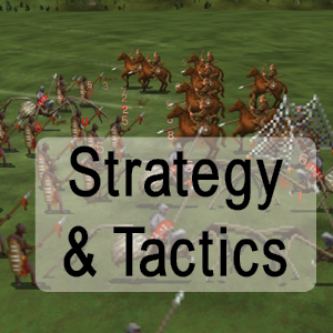 wiki:strategy.png