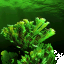 sites_0066.png