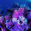sites_0080.png