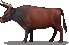 aatxe.png