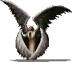 chayot_4.png
