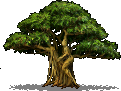 hamadryad.png
