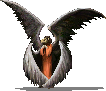 chayot_3.png