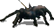 black_hunter.png