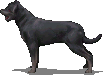 dog_of_the_underworld.png