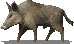 monster_boar.png