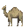 wasteland_survival.png
