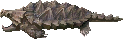 asp_turtle.png