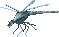 iron_fly.png