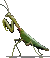 killer_mantis.png