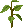 spring.png