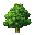 nature.png