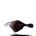 monsterfish.png