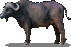 buffalo.png