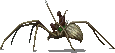 spider_rider.png