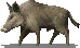 nations:ea:marverni:great_boar_of_carnutes.png