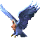 gamayun.png