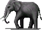 nations:la:caelum:elephant.png