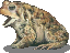 nations:la:mictlan:monster_toad.png