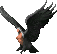harpy_queen.png