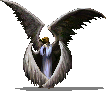 chayot_2.png