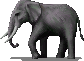 nations:ma:ind:elephant.png