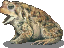 nations:ma:mictlan:monster_toad.png