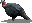 turkey.png