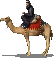 nations:ma:naba:sheikh_2.png