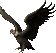 condor.png