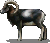 great_mouflon.png