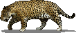 hun_balam.png