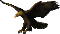 solar_eagle.png