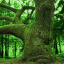 sites_0054.png