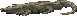 crocodile.png